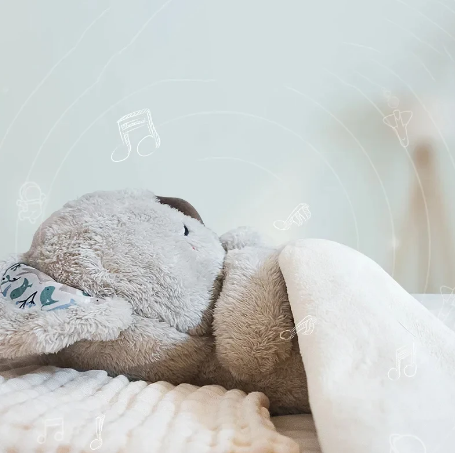 DormiKoala™ - Il peluche che ti fa dormire meglio